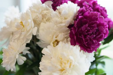 Beyaz ve kırmızı şakayık buketi