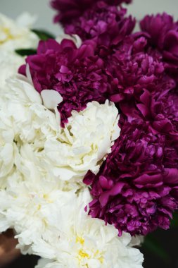 Beyaz ve kırmızı şakayık buketi