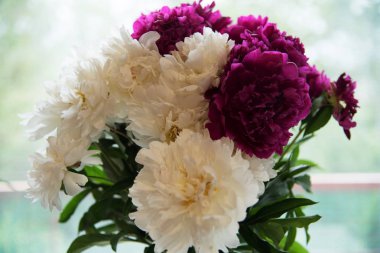 Beyaz ve kırmızı şakayık buketi