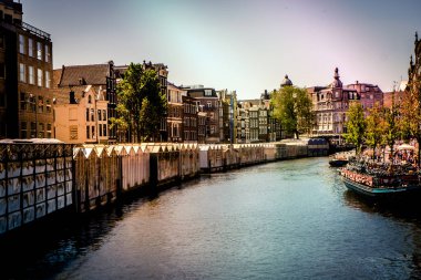 Amsterdam Çiçek Pazarı River