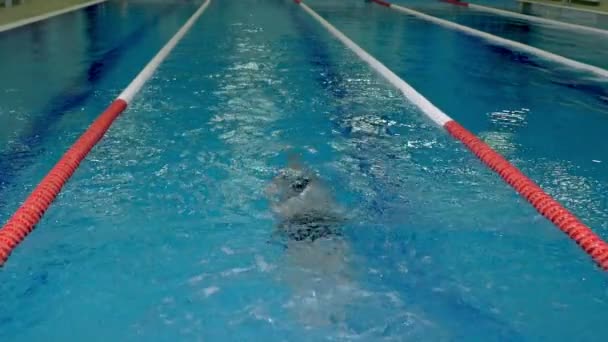 Спортсмен в бассейне плавает под водой — стоковое видео