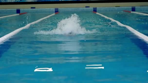 Swimmer Training Slow Motion Dives Floats Camera — Stock Video