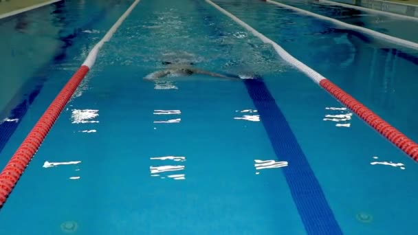 Candidato a mestre de esportes em treinamento na piscina — Vídeo de Stock
