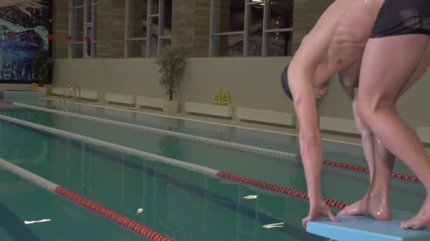 Swimmer makes a leap into the pool — Stock Video
