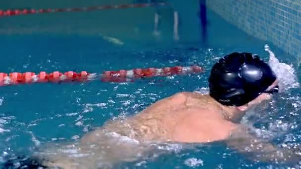 Ralenti d'un nageur dans une compétition pendant une baignade regarde le tableau de bord — Video