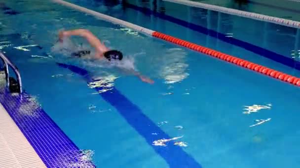 Nadador em treinamento na piscina realiza uma inversão de marcha — Vídeo de Stock