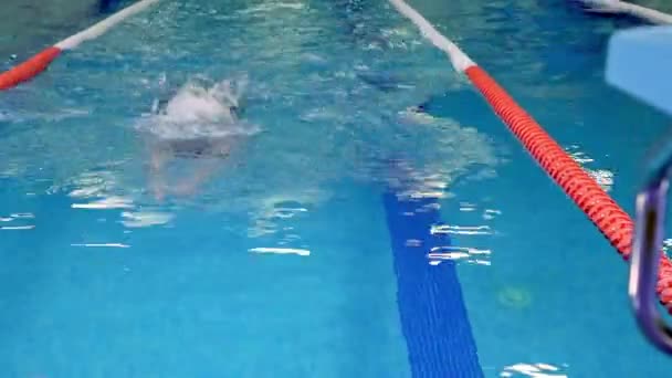 Professional swimmer during training close-up — Stock Video