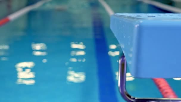Schwimmer trainiert im Becken. Kamera auf Schieberegler — Stockvideo