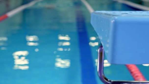 Los trenes de natación en la piscina. Cámara en slider — Vídeos de Stock