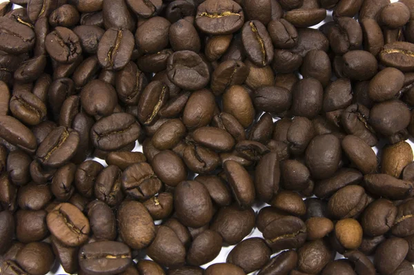 Roasted Mocha Coffee Beans close-up. Java coffee beans against white background.