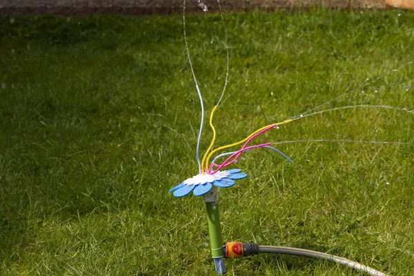 Garden sprinkler system splashing water over my garden on a bright and sunny day. Green grass care tool