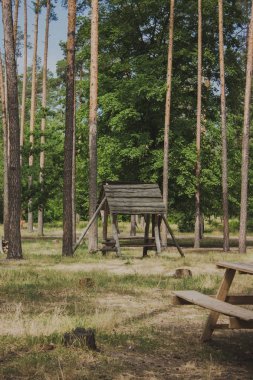 Gazebo güneşli ormanda