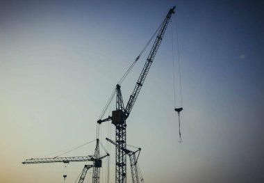 Mavi gökyüzünün arka planında büyük turnalar
