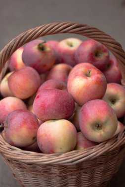 Hasır sepette taze kırmızı elmalar. Sonbahar hasadı