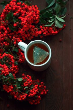 Tahta arka planda yeşil çay olan Rowan ve beyaz kupa. Sonbahar düzeni