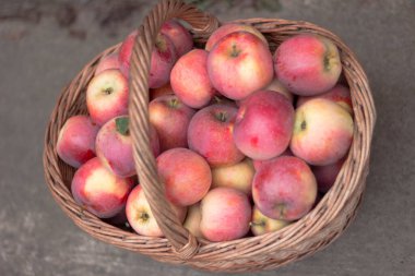 Hasır sepette taze kırmızı elmalar. Sonbahar hasadı