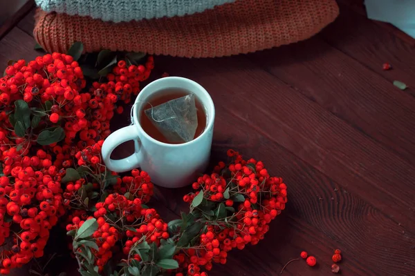 White Cup Tea Rowan Sweaters Autumn Layout Cozy Atmosphere — Stock Photo, Image