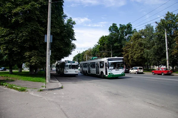 Lutsk Ukraine Agosto 2018 Trolleybuses Bogdan E231 203 Ziu 682 — Fotografia de Stock