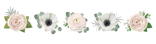 Anemone ranunculus eucalyptus rose peony flowers and eucalyptus branches bouquet vector illustration, hand drawn floral elements set for greeting cards, wedding invitations. — 图库矢量图片