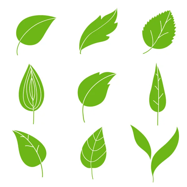 Verde abstracto conjunto de iconos de hoja, vector de olustración — Archivo Imágenes Vectoriales