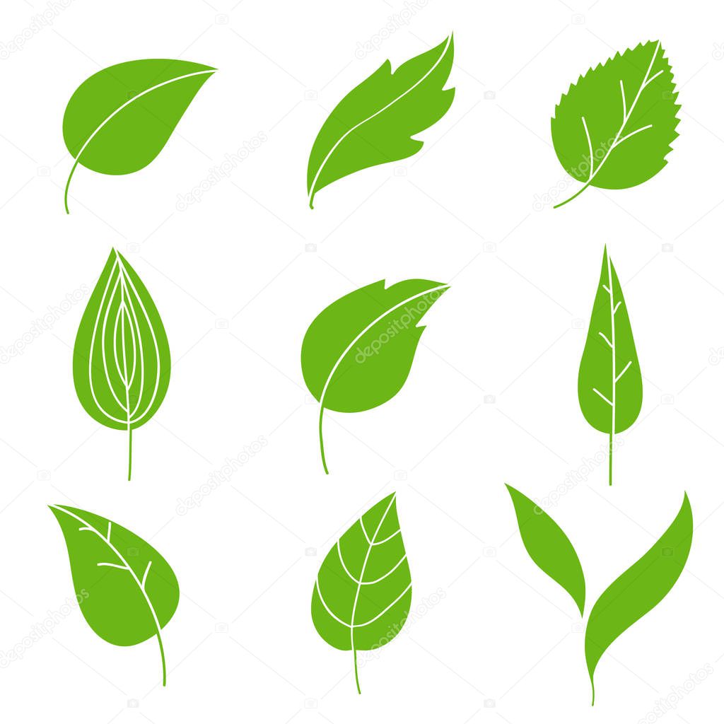 green abstract leaf icons set, vector ollustration