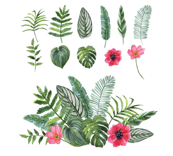 Set of tropical plants leaves and flowers. design concept — Stock Photo, Image