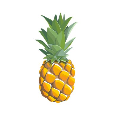 Ananas illüstrasyon isolatet beyaz arka planda, vektör çizim