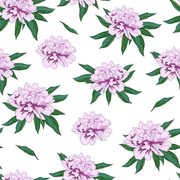 Patrón sin costura vectorial con flores de peonía rosa sobre fondo blanco . — Vector de stock