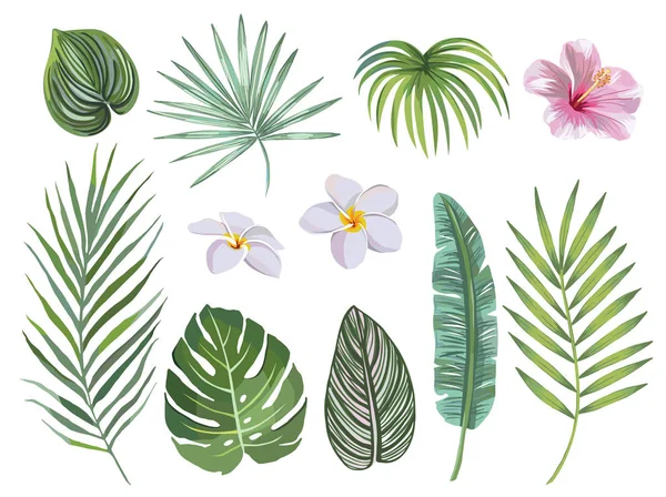 Handgezeichnetes Set tropischer Blätter und Blumen. Vektor-Designkonzept — Stockvektor