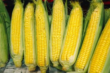 Piyasadaki taze organik sarı mısır. Üst görünüm.