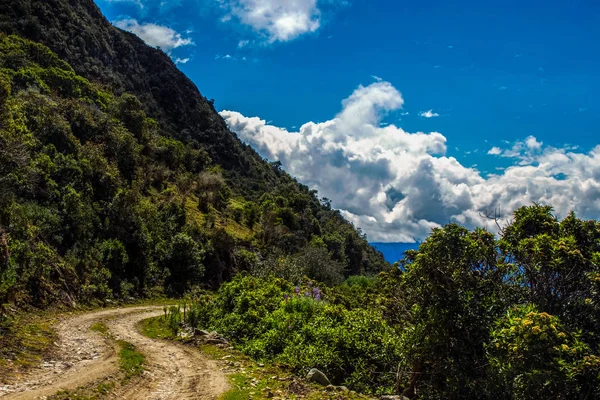 Paisaje Hermosa Sierra Peruana Cielo Azul Nube Blanca Con Arboles Royalty Free Φωτογραφίες Αρχείου