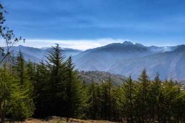 Harika manzara, köy manzarası, yeşil ağaçlar, beyaz dağlar ve mavi gökyüzü