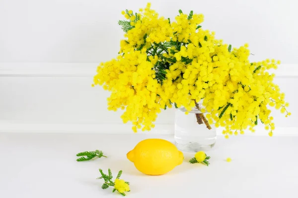 Yellow mimosa and lemon on the white background.