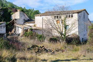 Alan eski terk edilmiş yıkık evde.