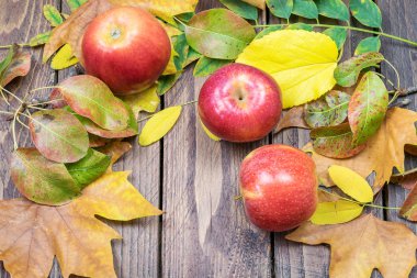 Kırmızı çiğ elmalardan oluşan Vignette ve beyaz arka planda farklı kuru yapraklar. Sonbahar hasat konsepti.