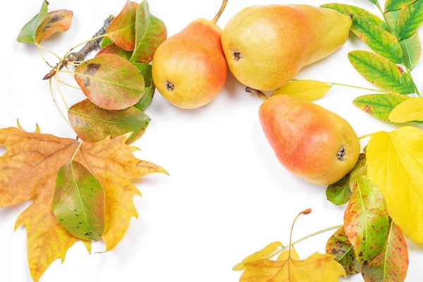 Einige Rohe Schöne Birnen Und Trockene Herbstblätter Auf Weißem Hintergrund — Stockfoto