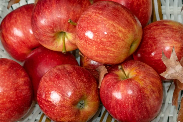 Algunas Manzanas Rojas Maduras Frescas Ranet Blanco Concepto Comida Saludable — Foto de Stock