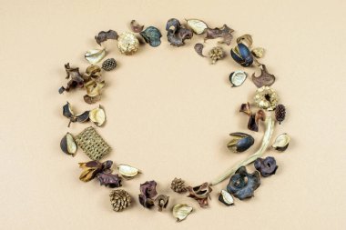 Bej kağıtlı arka planda kuru vanilyalı çiçek çelengi. Sonbaharın düz yatay fotoğrafı eski kompozisyonu uydur. 