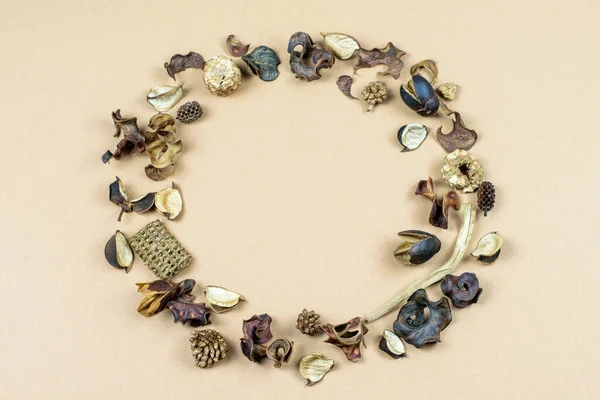 Bej kağıtlı arka planda kuru vanilyalı çiçek çelengi. Sonbaharın düz yatay fotoğrafı eski kompozisyonu uydur. 