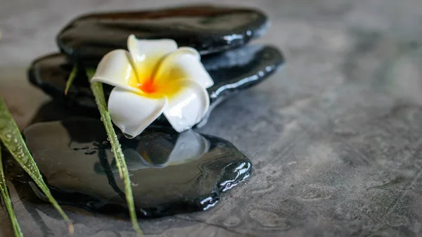 Natural zen stones balance, plumeria on the wet background. Spa therapy and relaxation.