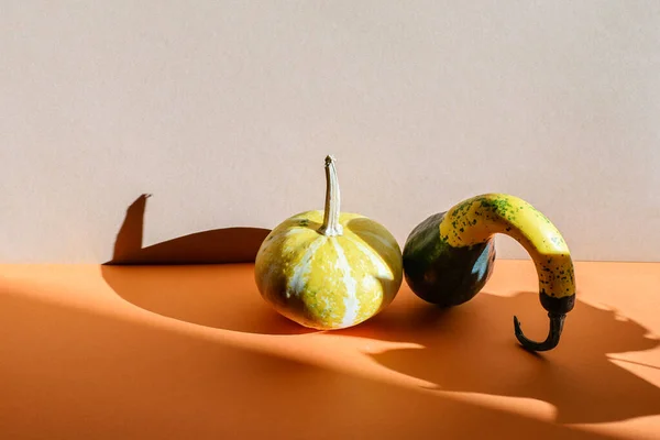 Petites Citrouilles Décoratives Sur Fond Brun Orangé Longues Ombres Dures — Photo