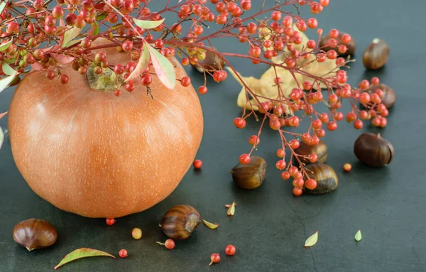 Grupo Calabazas Decorativas Castañas Primer Plano Fondo Oscuro Fondo Halloween — Foto de Stock