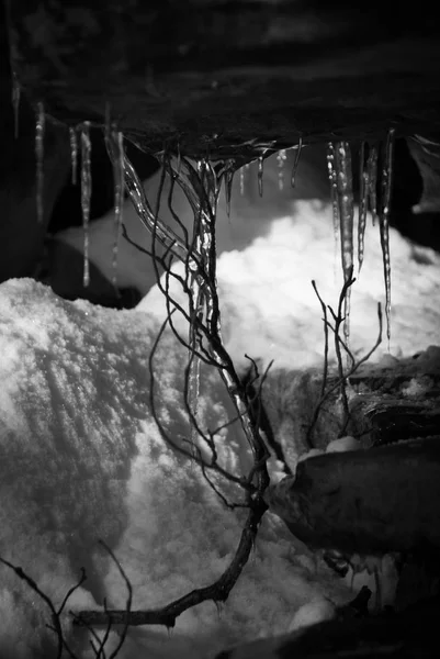 Icicles Roca Invierno —  Fotos de Stock
