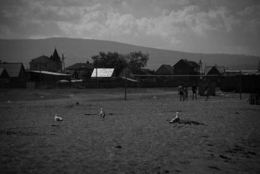 Köyün sahilde Voleybol