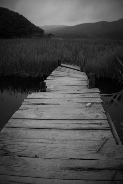 Yalnız köprü Nehri çökmekte