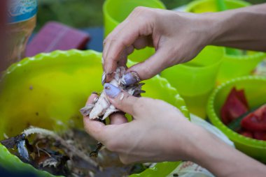 Salata için balık, eller tarafından doğranmış.