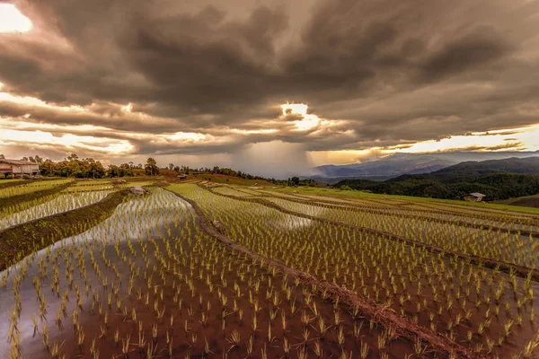 Campos Arroz Terrazas Pong Pieng Mae Chaem Chiang Mai Tailandia — Foto de Stock