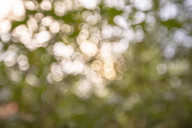 Doğa soyut bokeh arka plan