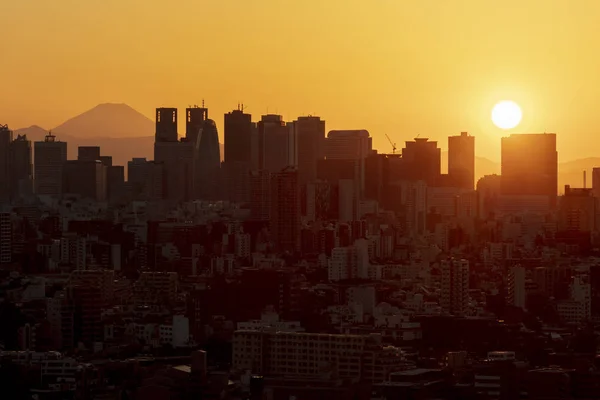 Weergave Van Tokyo Sky Twilight Met Fuji Zonsondergang — Stockfoto