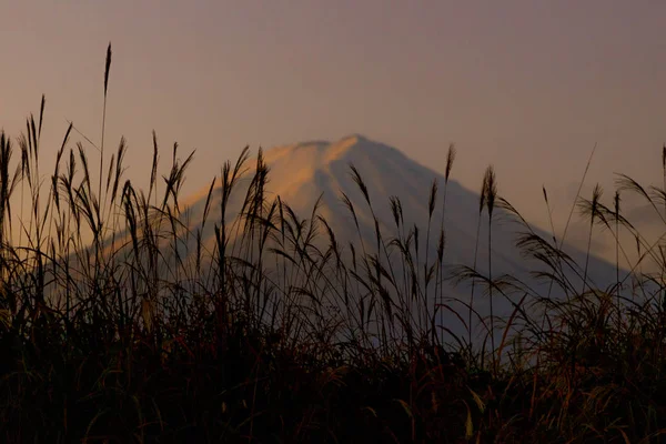 Fuji Mit Sonnenaufgang Morgenhimmel Hintergrund — Stockfoto